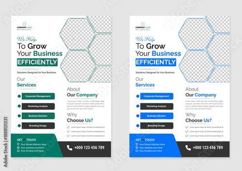 Business flyer Design layout