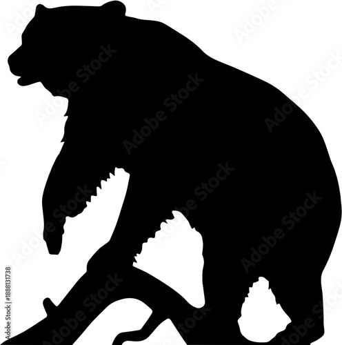 Black Bear Silhouette Climbing Tree Branch Isolated on White