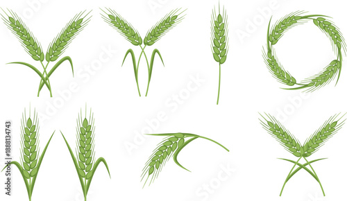 Green Wheat Ear Vector Illustration Set Featuring Various Stalk Arrangements and Circular Wreath Designs for Agriculture and Bakery Bakery Projects