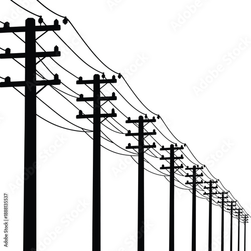 A stark black and white view of numerous power lines and poles