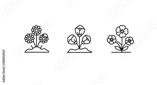Cute Line Art Icons: Three Small Plants with Flowers and Buds