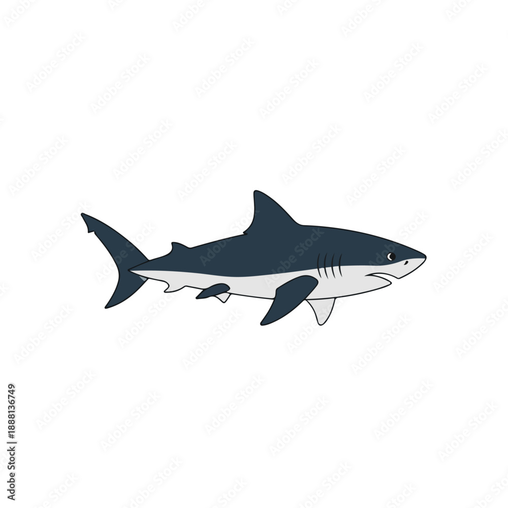 Obraz premium Shark Swimming in Open Ocean