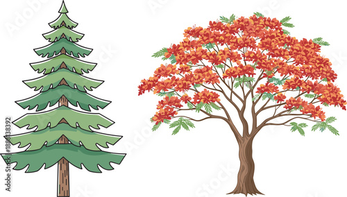 Stylized evergreen and deciduous trees side by side, showcasing seasonal foliage and botanical contrast—ideal for nature, education, and environmental design themes.