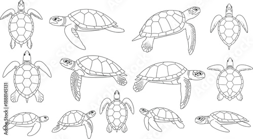 Hand Drawn Sea Turtle Line Art Vector Set with Multiple Swimming Views for Marine Wildlife Illustration, Education, Coloring, and Nature Design Projects