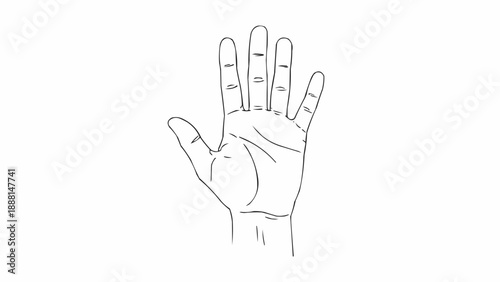 Line Drawing of a Human Hand Showing Five Fingers.
