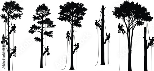 Arborist Tree Climbing Silhouette Collection Featuring Ropes, Gear, and Foliage for Tree Care, Safety, and Labor Design Projects