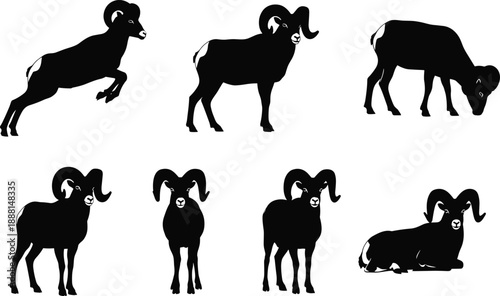Bighorn Sheep Silhouette Set in Natural Poses for Wildlife Design, Educational Illustration, and Nature-Themed Graphic Projects