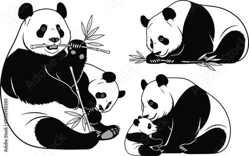 Black and white panda family illustrations showing nurturing poses, bamboo eating, cuddling, and relaxing in cartoon-style animal scenes