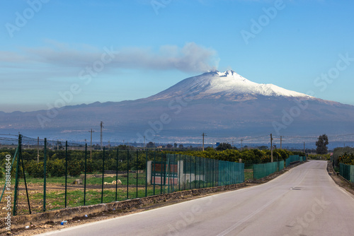 View of Mount Etna from a citrus grove