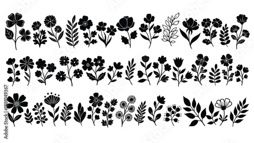 A collection of delicate black floral silhouettes showcasing diverse botanical shapes and leafy arrangements beautifully displayed