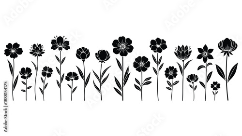A delicate black and white botanical illustration showcasing a variety of blossoming wildflowers in a linear arrangement