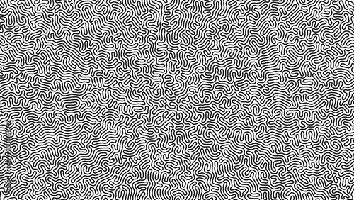 Seamless Vector Turing Pattern. Black and White Reaction Diffusion Line Texture.