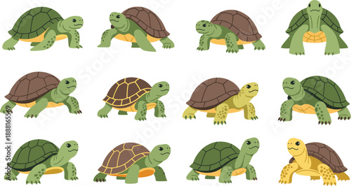 Turtle Cartoon Illustration Set Featuring Cute Land Turtle Characters in Different Walking and Standing Poses for Kids Education, Wildlife Design, and Vector Graphics