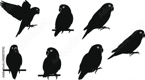 Silhouette vector of parrots in various poses including flying, perching, and sitting, showing tropical bird behavior