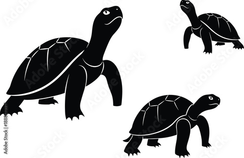 Silhouette Illustration of Three Tortoises in Varied Postures, Ideal for Wildlife, Nature, and Animal-Themed Vector Designs