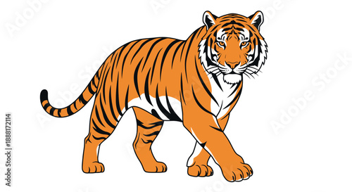 Tiger illustration in a walking stance with vibrant orange and black stripes