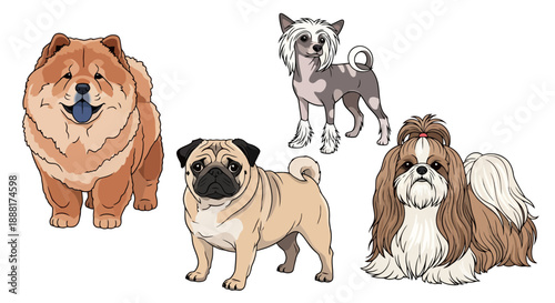 Adorable dogs of different breeds standing together