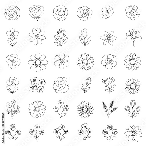 Set of Floral Vector Elements Isolated on Transparent Background