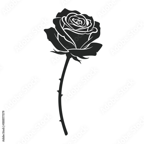 Single Rose Stem Silhouette