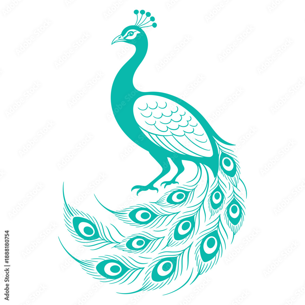 Fototapeta premium Elegant teal peacock illustration