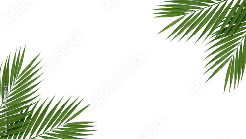 Vibrant green palm leaves elegantly framing a dark background, perfect for tropical designs