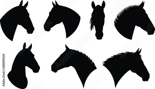 Horse head silhouette set, equine portrait collection, different angles poses, farm animal vector illustration, black shapes, isolated on white background