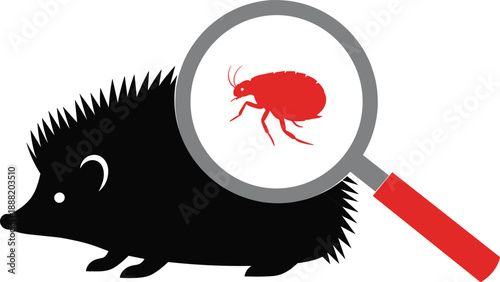 Hedgehog pest inspection illustration showing flea parasite under magnifying glass, vector concept for pest control, animal health, parasite detection, and veterinary awareness design