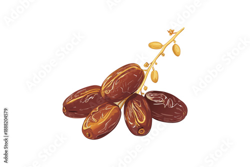 Delicious dates on a branch with leaves, sweet and nutritious