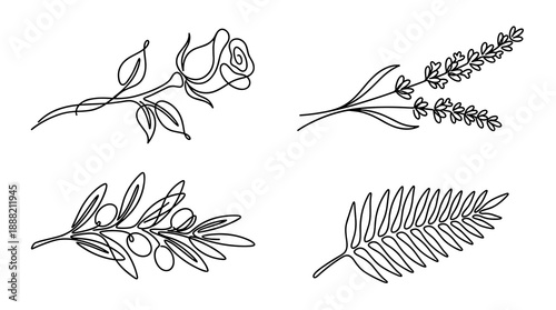 A collection of four elegant botanical illustrations drawn in a single continuous line style including a rose bud lavender sprig olive branch and tropical fern