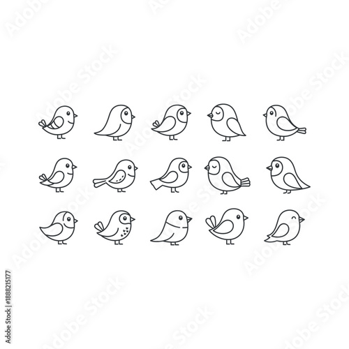 Various bird species illustrated in different poses and views outdoors