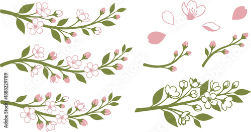 Breeze-swept cherry blossom botanical elements flat vector pack with white soft rose moss green trailing branches blossoms leaves horizontal wind scattered petals varying sizes emerging buds flowering