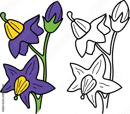 Foto Coloring page with potato flowers