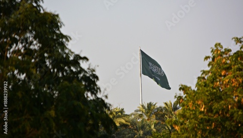 Foto green grass and blue sky with saudi flag