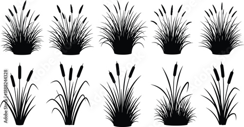 Collection of black grass and reed silhouettes, vector illustration set featuring cattails and sedge clumps, isolated on white background for nature landscape design.