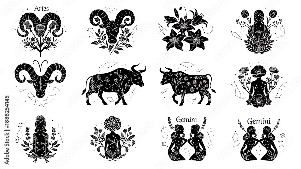 Naklejka premium Zodiac Signs with Floral Emblems isolated on a transparent background