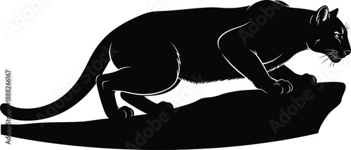 Mountain Lion Silhouette on Rocky Peak with Shadow – High Quality Vector Illustration