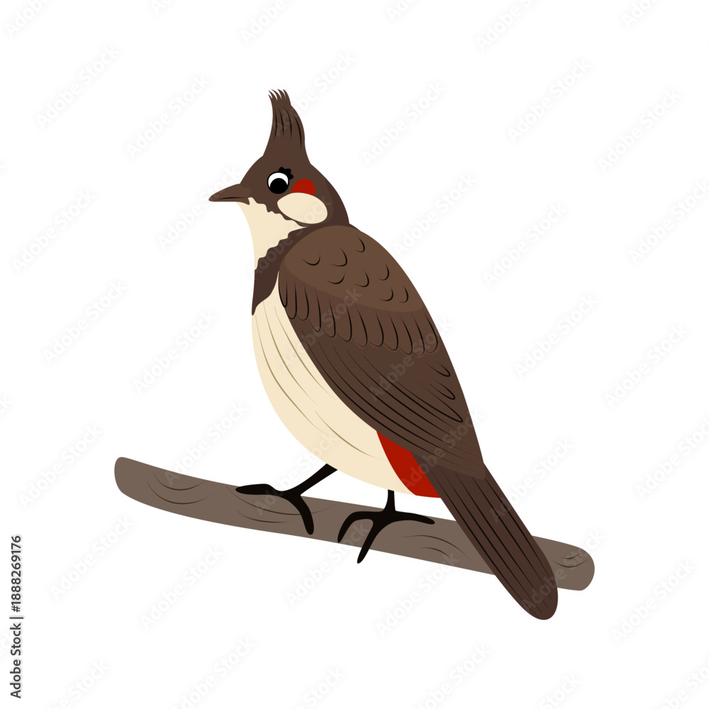 Obraz premium Red-whiskered bulbul bird. Flat vector illustration isolated on white background. Cute Asian songbird for nature, wildlife, education and kids design.