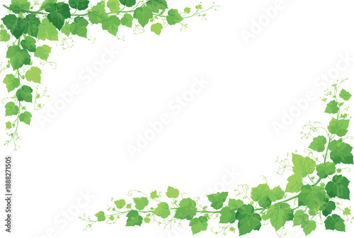 Botanical Greenery Frame with Ivy, Lianas and Decorative Leaf Arch