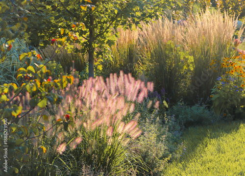 Beautiful and wispy Karl Foerster Feather Reed Grasses bent almost in half by the windy Chicago weather providing a beautiful landscape in the fall.