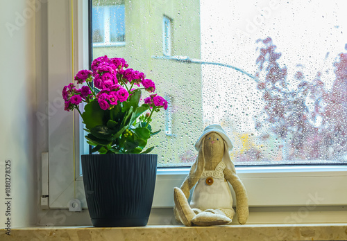 Cozy spring still life on a rainy window. Pink houseplant and textile toy creating home warmth on a cloudy day