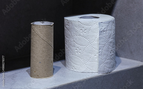 Contrast between a full roll of soft embossed paper and a finished cardboard base. Everyday bathroom scene symbolizing consumption and running out of supplies