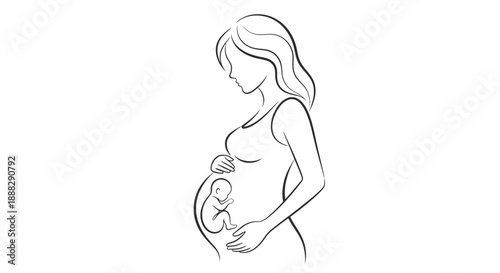 Continuous Line Art of a Pregnant Woman in Profile Holding Her Belly with Fetus Inside on Isolated White Background