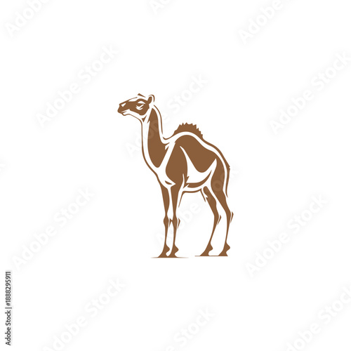 Desert Camel Design Concept