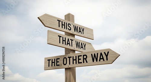 Choosing the right direction with multiple options
