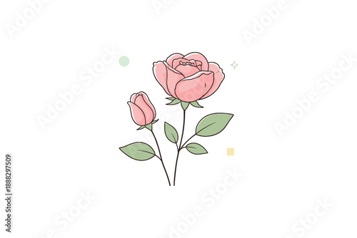 Elegant pink rose illustration with bud and leaves on white background