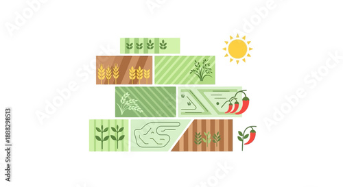 Indian vector illustration of diverse plants in various patterns under sun in india