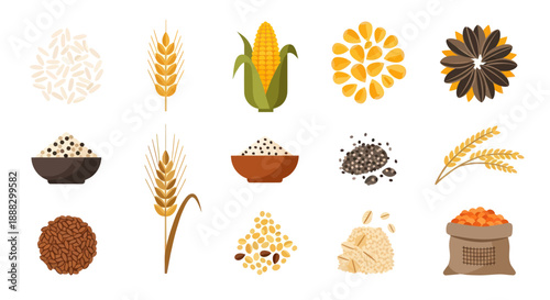 Various grains and seeds illustration in flat vector style for food design