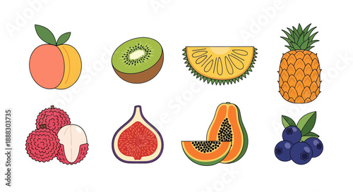 Colorful vector illustrations of various fresh fruits isolated on white