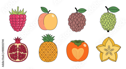 Colorful vector illustrations of various fruits on white background