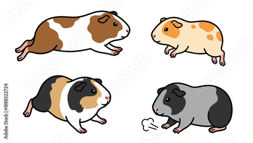 Four Guinea Pigs Cartoon Illustration